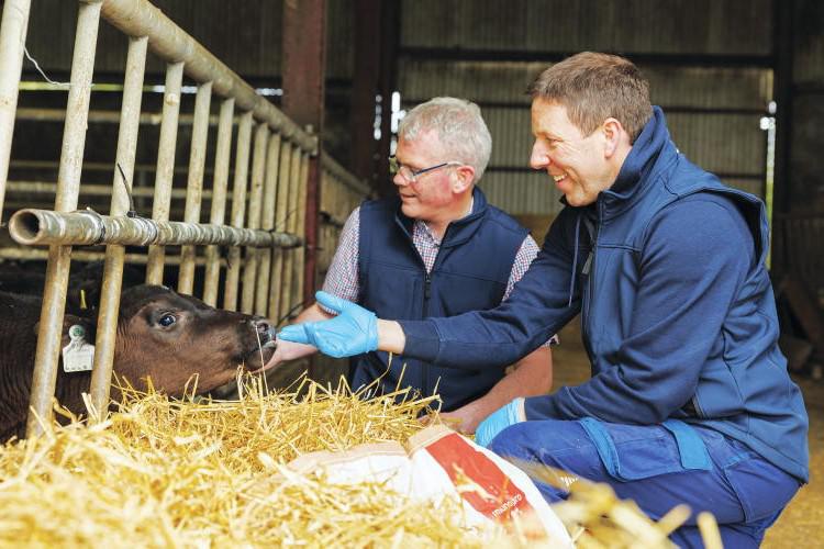 Advice for supporting gut health