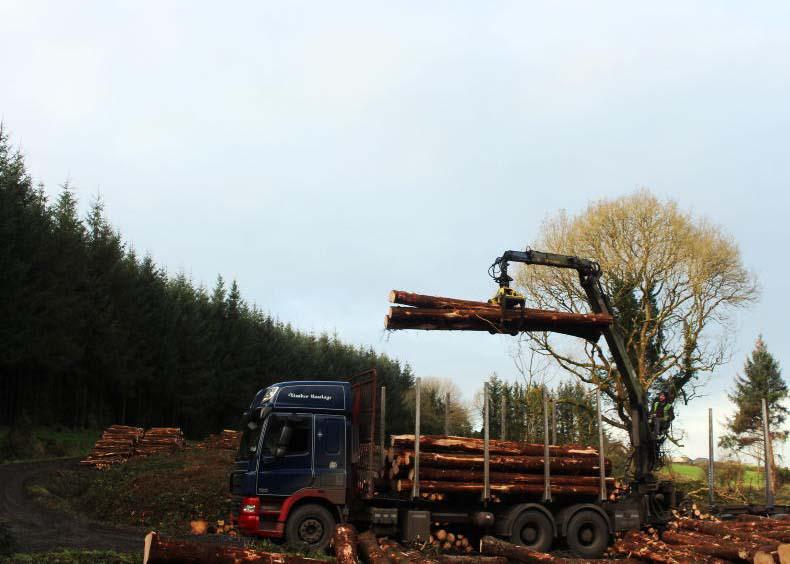 Farmers 
need clear signals on forestry goals 