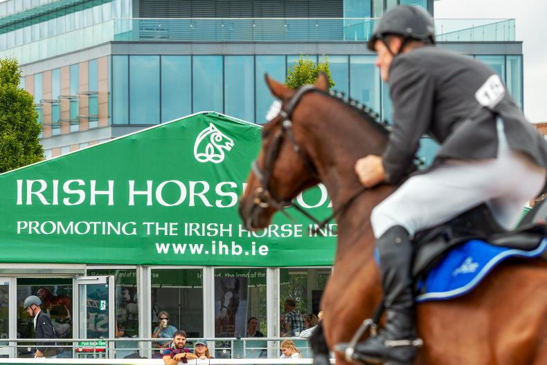 What buyers really pay for, from foal to finished Horse