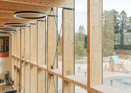 Sustainably grown Irish wood key element in reducing carbon footprint