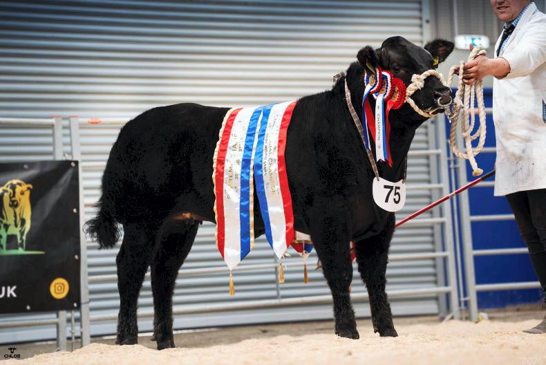 Magical performance by Mystic Meg in Ballymena