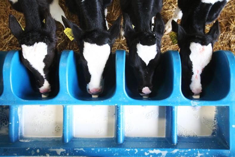 Agri jobs: dairy farm workers sought for a salary of over €36,000