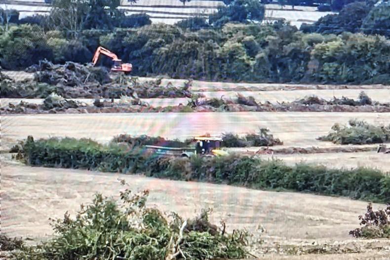 Coolmore-linked company fined €100,000 for hedgerow offenses 