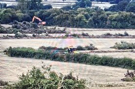 Coolmore-linked company fined €100,000 for hedgerow offences 