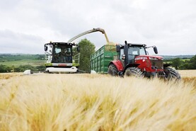 Forage crops – the costs, benefits and questions to ask