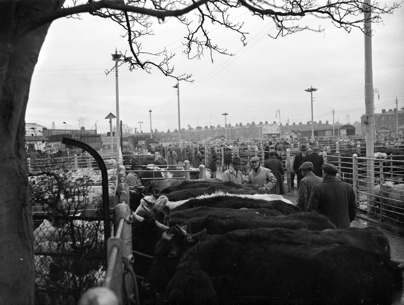 How Ireland dominated UK beef imports