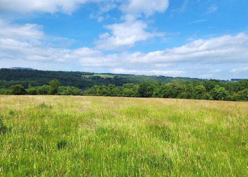 New land a rarity on the leasing market