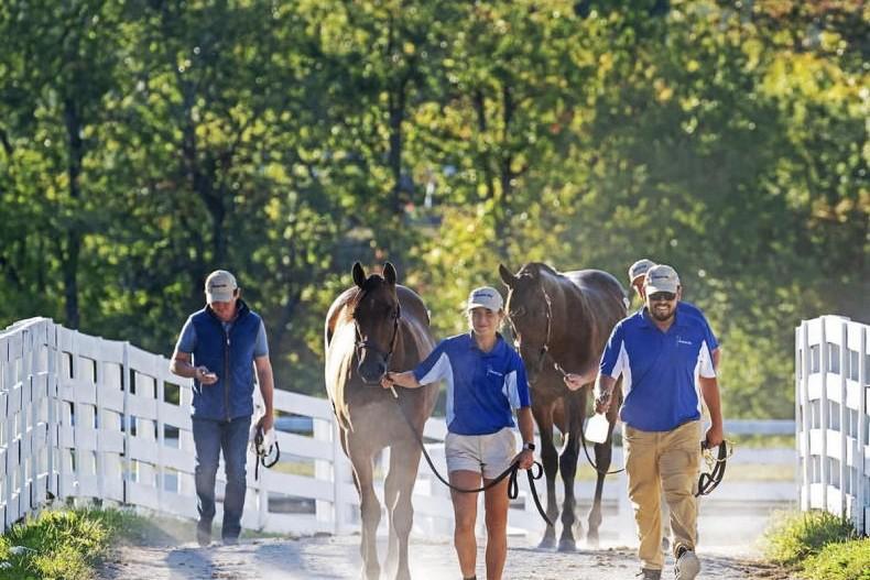Equestrian career off to a flying start for Meath graduate