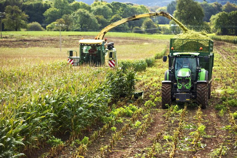 Third-generation contracting in the Rebel county 