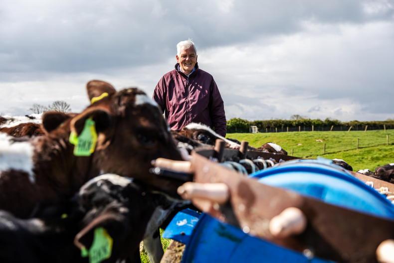 An Appreciation: the late Liam Meehan, Newmarket-on-Fergus, Co Clare 