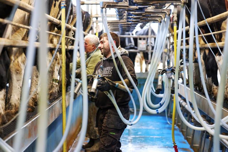 Kerry Dairy Ireland keeps 2.87c/l base price top-up for February