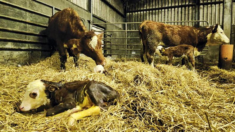 Farmer Writes: convenience could be under threat