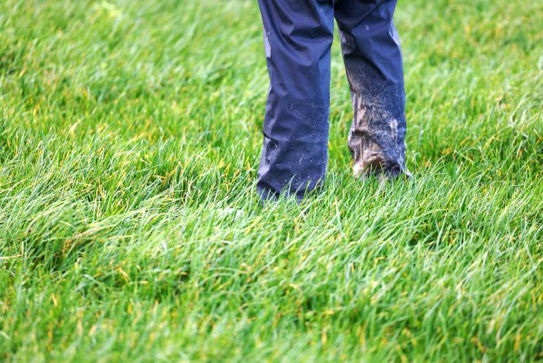 Grazing needs to continue with settled weather promised