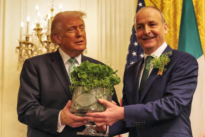 Irish farming must look east                             