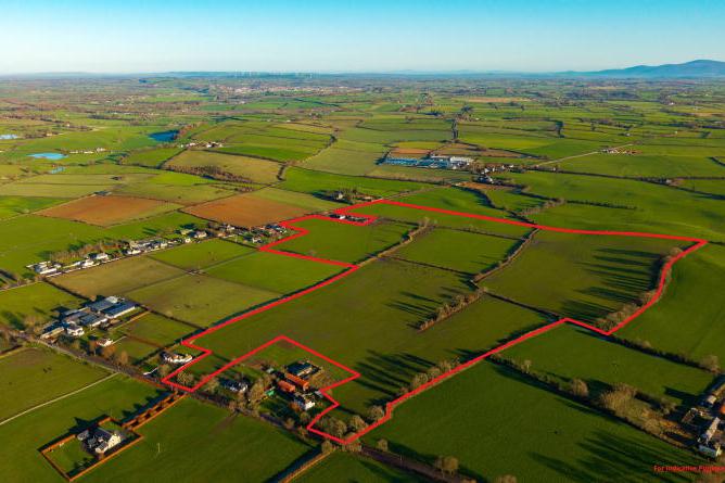 Tipperary land makes over €28,500/ac at auction