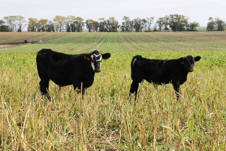 Majority of rented land in US owned by non-farming landlords