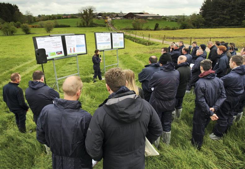 New predictions part of GrassCheck revamp