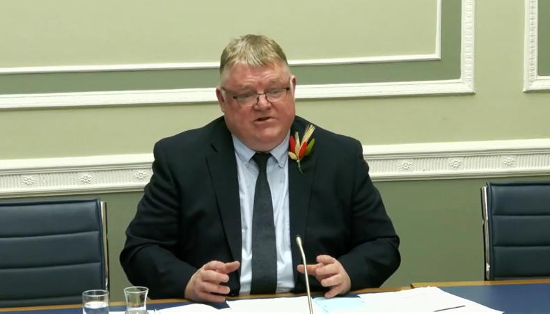 McAleer makes case for ANC