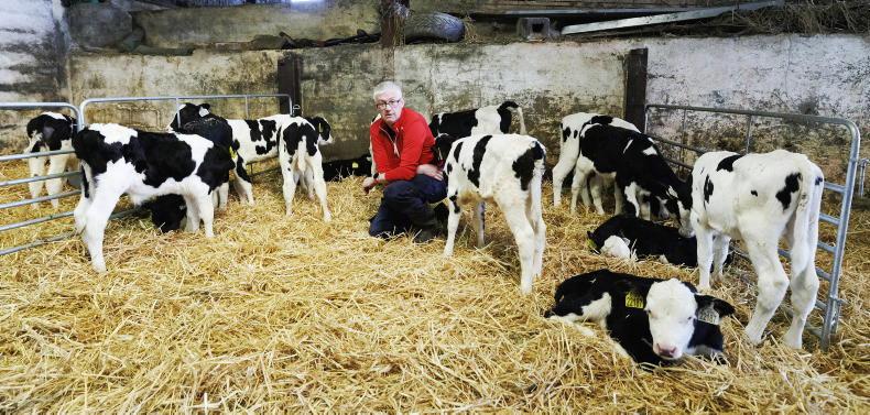 11% twinning rate on Cork dairy farm