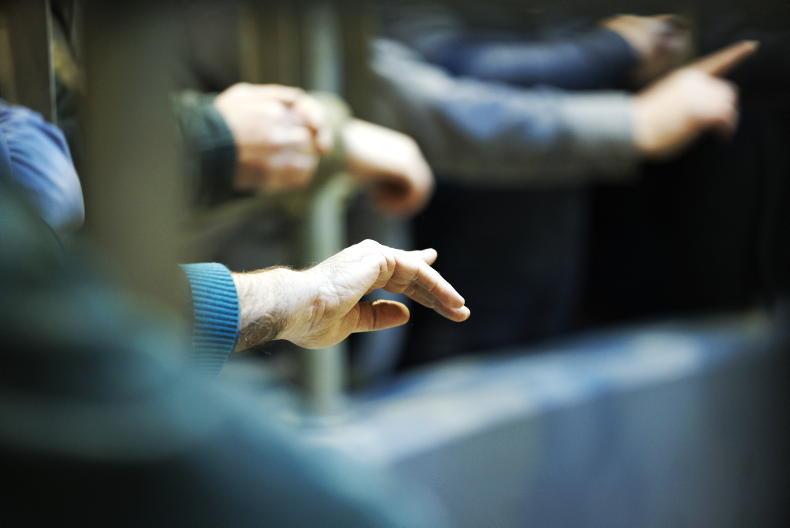 Martbids Database: price drops across the board