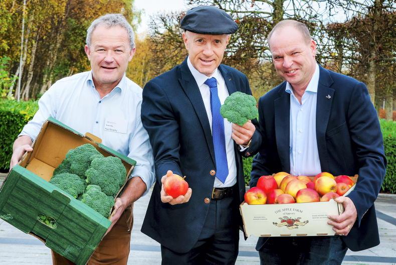 Horticulture growers urged to complete 2025 census