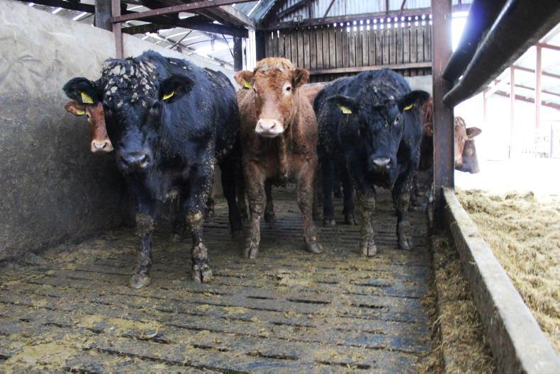 Editorial: winter finishing crisis 