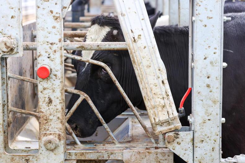 Concentrate crude protein rules and excretion rates