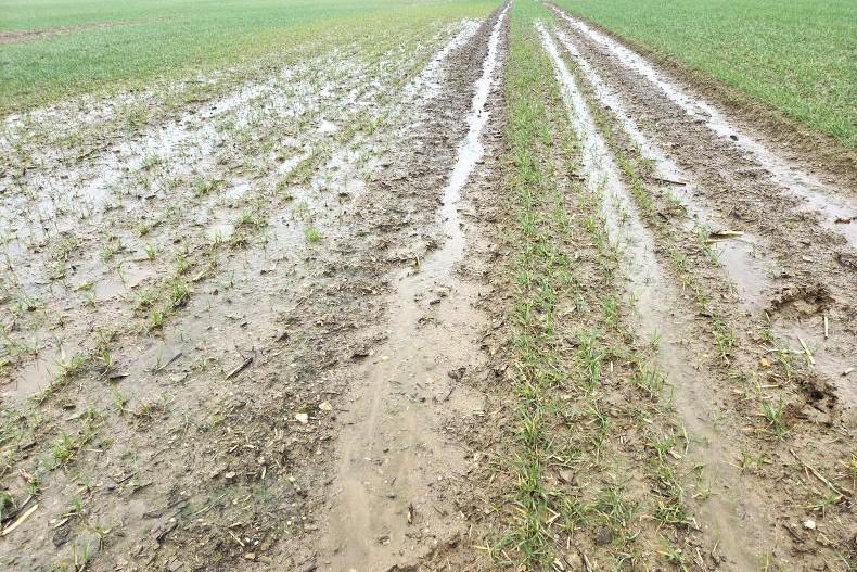 Editorial: tillage targets missed