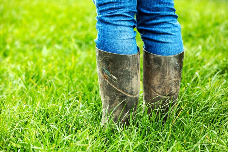 Dairy Management: counting the days to the second rotation