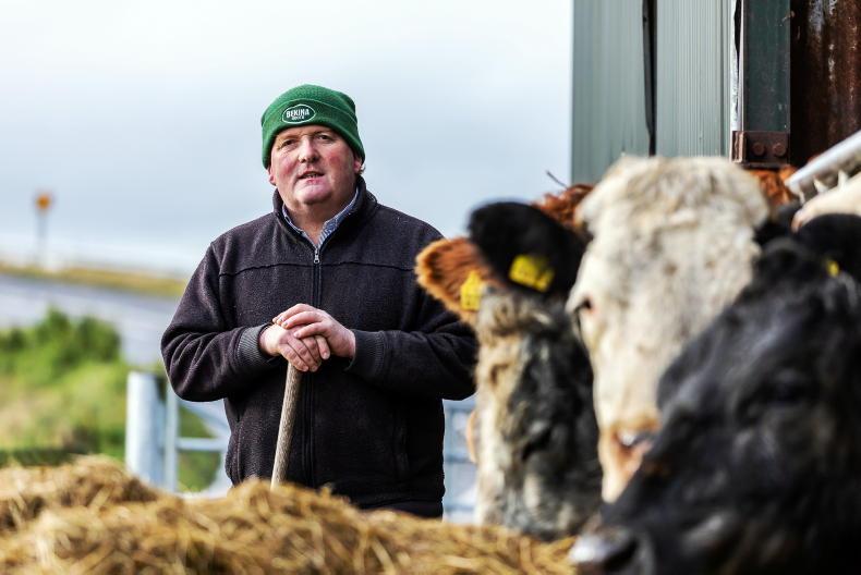 Beef price cuts opportunistic and irresponsible – IFA 