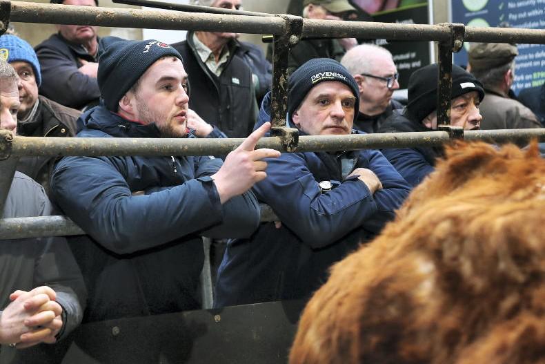 Watch: this week in pictures as strong sale, shipping and spring work continue