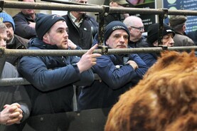 Watch: this week in pictures as strong sale, shipping and spring work continue