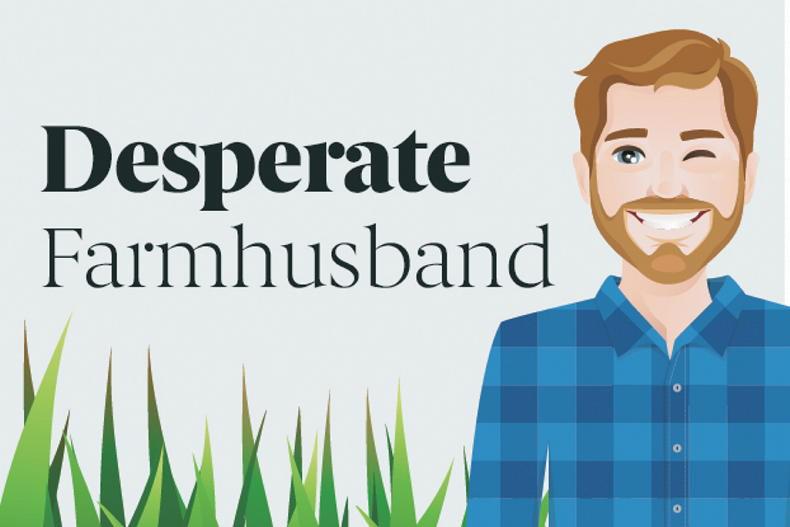 Desperate Farmhusband: ‘ in a global energy crisis, we can't get solar grants' 