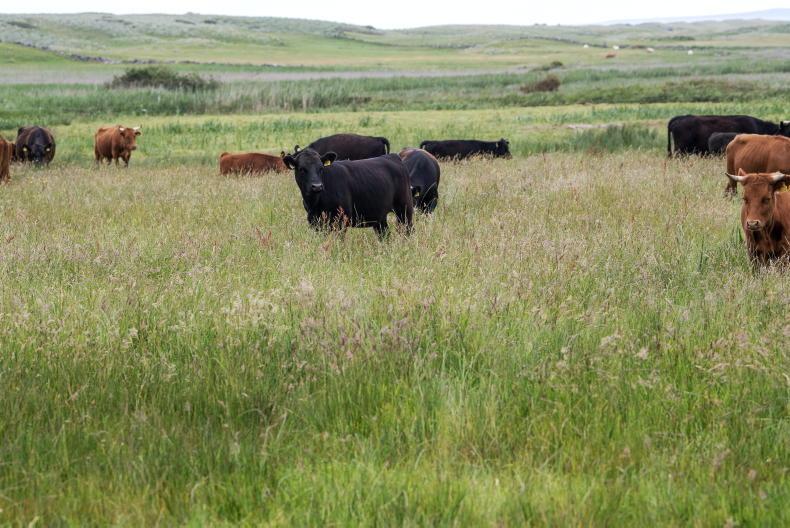 Farmers must be paid for nature restoration from new fund, Minister told