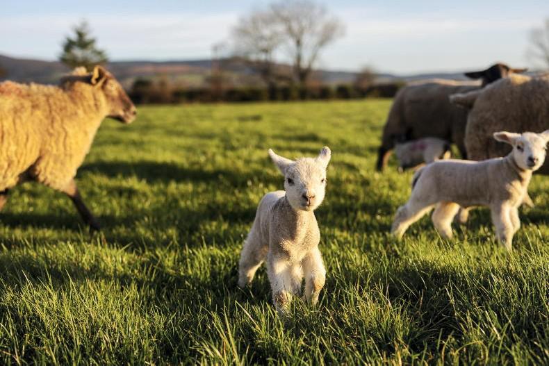 Weekend weather: long awaited mostly dry weekend