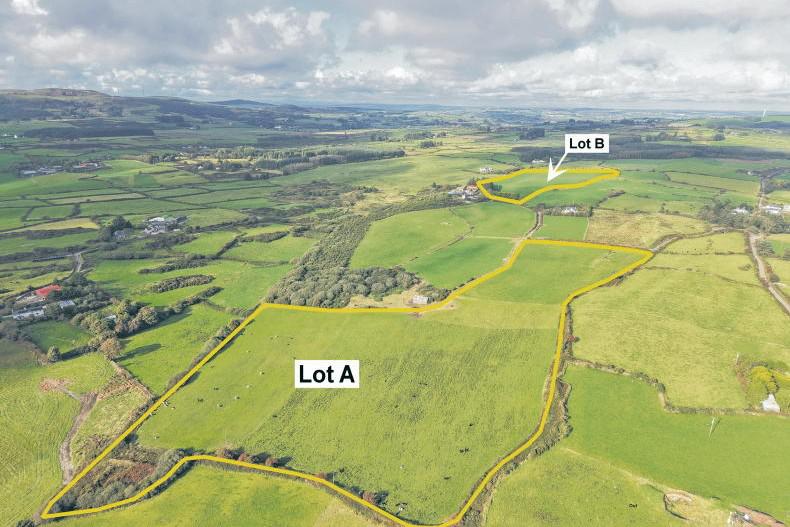 Grassland holdings will attract attention in Cork