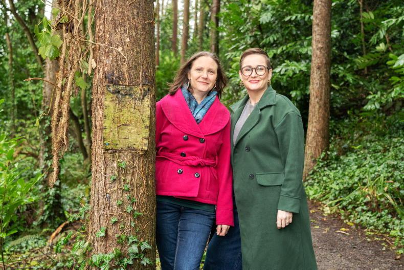 Liz Clancy: 'I'm a death doula and that's a privilege' 