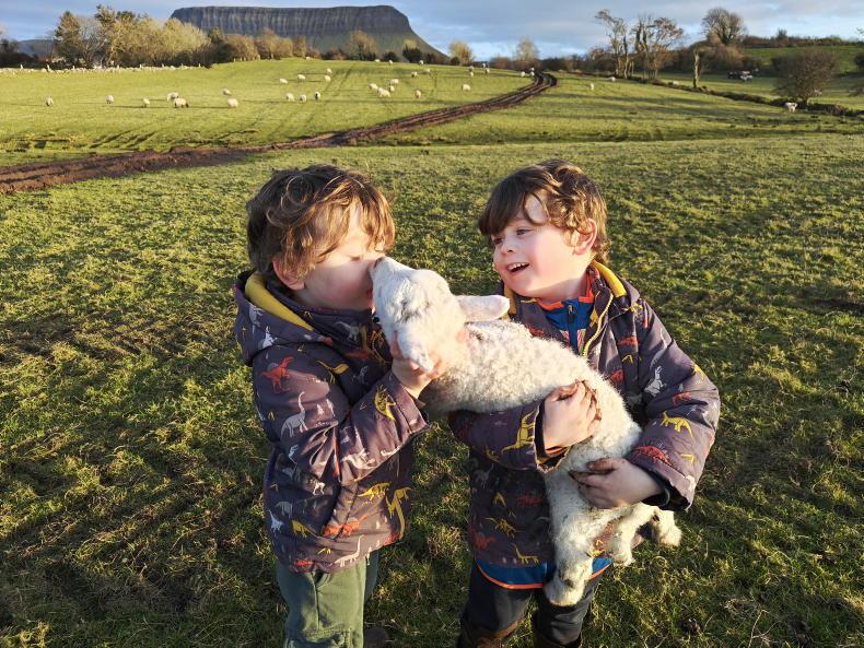 In pictures: our favourite readers' photos of the week