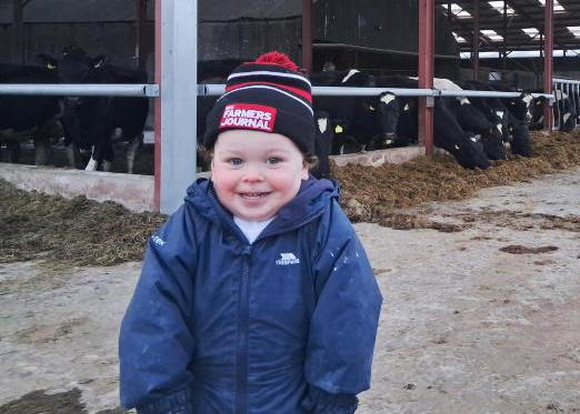 In pictures: our favourite readers' photos of the week