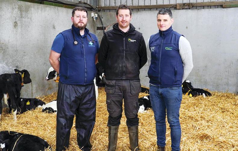 Reducing calf pneumonia with vaccination on a Donegal dairy-beef farm