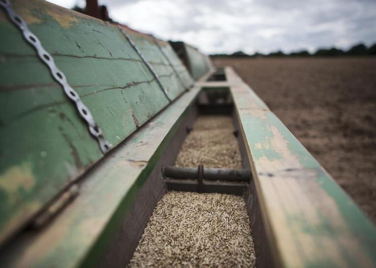 Bandbridge steals the show for 2026