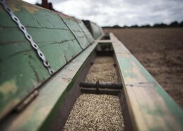 Bandbridge steals the show for 2026