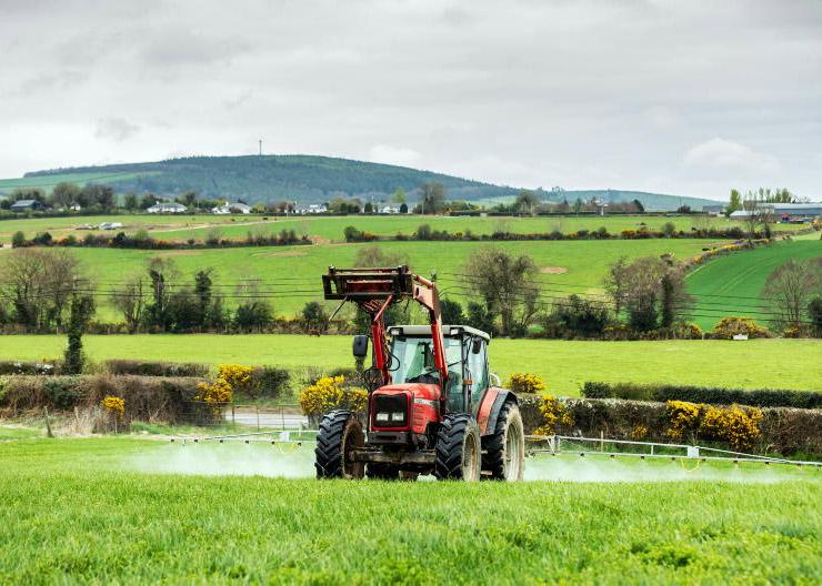 Pest control in reseeded swards