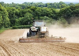 Counting the cost of not reseeding