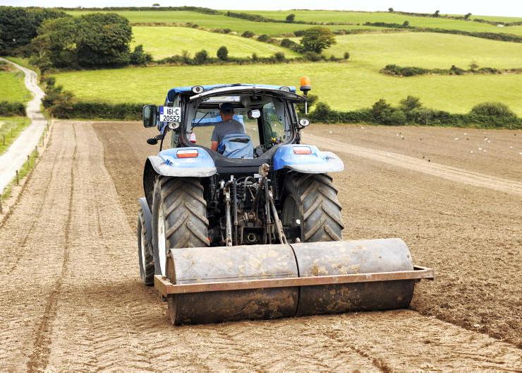 Five step guide for reseeding this spring 