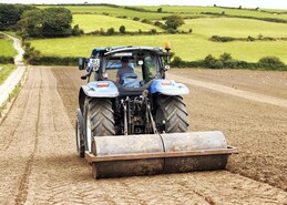 Five step guide for reseeding this spring 