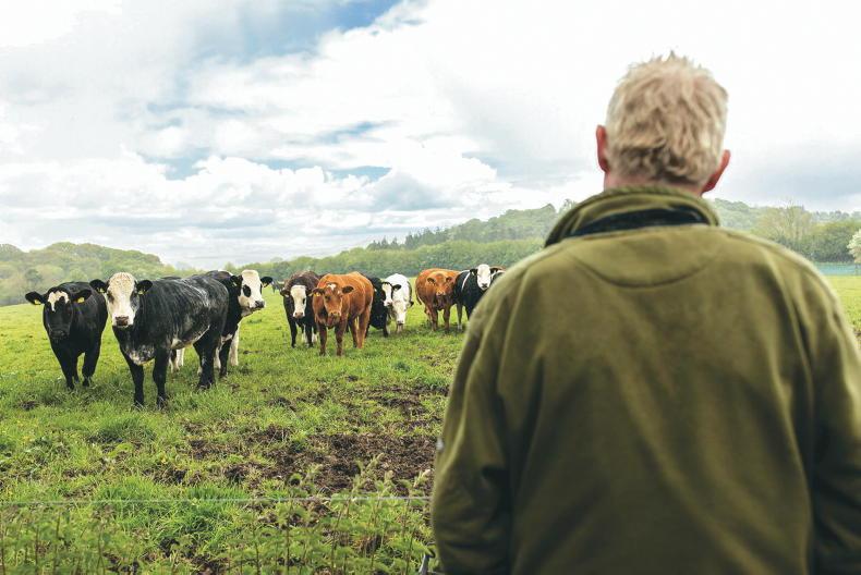When livestock stray who pays for the damage?