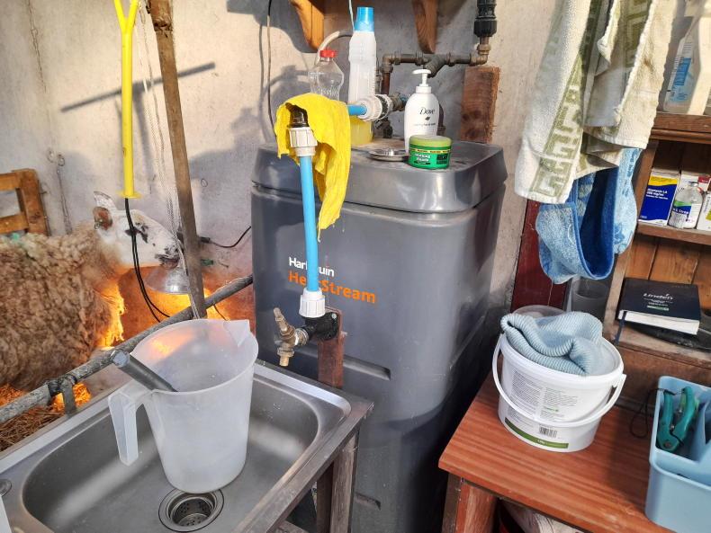 Weaknesses exposed at lambing time