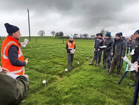 Clover profit index on the way