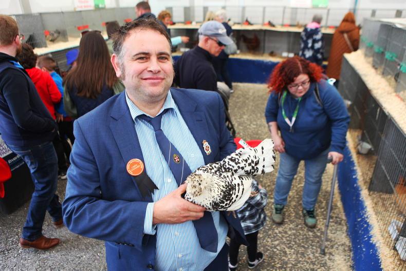 No poultry classes at this year’s Balmoral Show